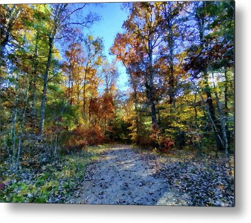 Autumn Metal Print featuring the photograph Autumn Path by Allen Nice-Webb