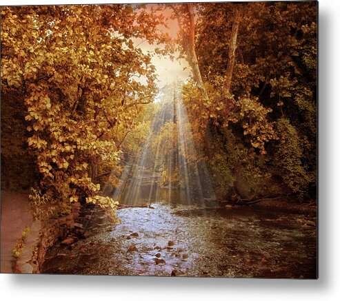 Autumn Metal Print featuring the photograph Autumn River Light by Jessica Jenney