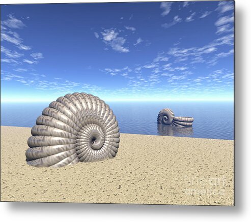 Ancient Metal Print featuring the digital art Beach of Shells by Phil Perkins