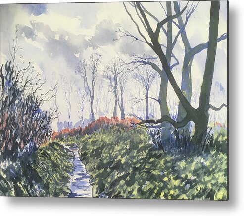 Watercolour Metal Print featuring the painting Beck in Back Lane by Glenn Marshall