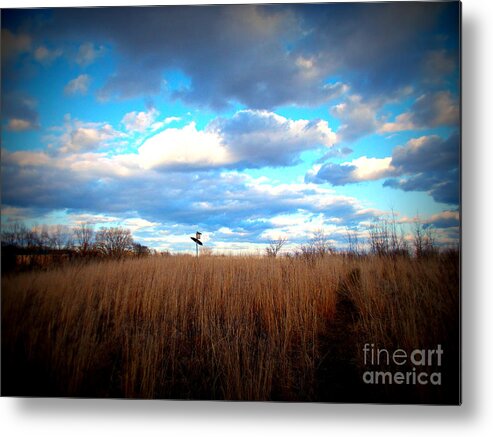 Nature Metal Print featuring the photograph Bird House In The Prairie - Lomo by Frank J Casella
