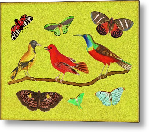 Birds Metal Print featuring the mixed media Birds and Butterfies by Lorena Cassady