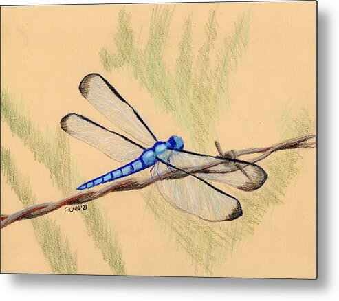 Dragonfly Metal Print featuring the drawing Blue Dragonfly by Katrina Gunn