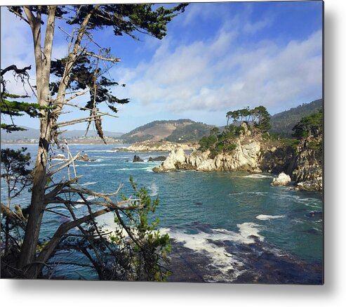 Carmel By The Sea Metal Print featuring the photograph Bluefish Cove Point Lobos by Luisa Millicent