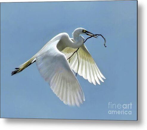 Egret Metal Print featuring the photograph Branch of Peace by Jennie Breeze