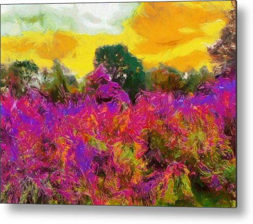 Meadow Metal Print featuring the mixed media Brilliant Meadow by Christopher Reed