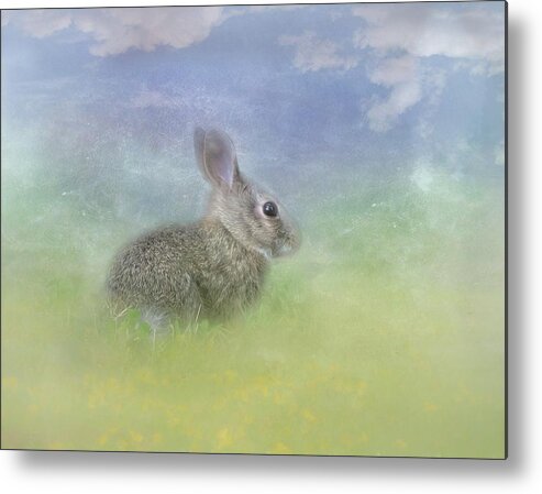 Bunnies Metal Print featuring the photograph Bunny in the Grass by Marjorie Whitley