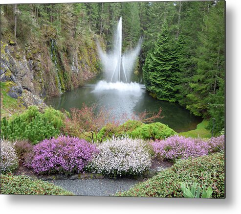 Butchart Gardens Metal Print featuring the photograph Butchard Gardens Ross Fountain by Charles Robinson