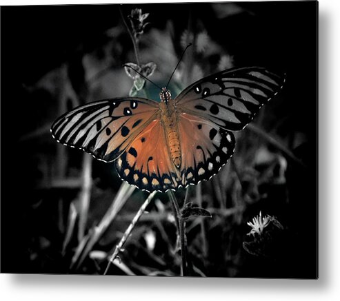 Monarch Butterfly Metal Print featuring the photograph Butter-Fly by Gena Herro