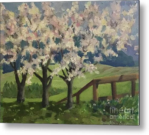Cherry Metal Print featuring the painting Cherry Trees by Anne Marie Brown
