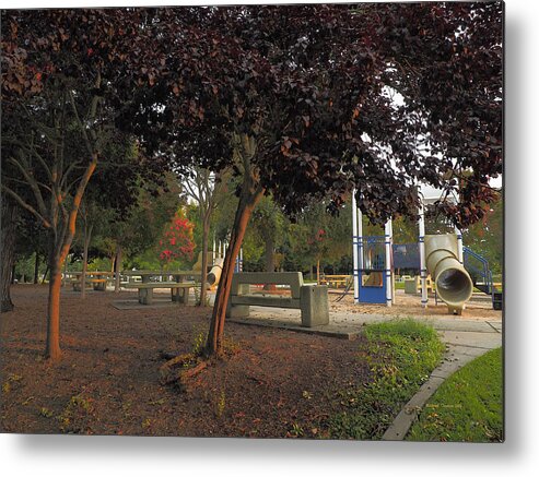 Landscape Metal Print featuring the photograph City Park Warmth by Richard Thomas