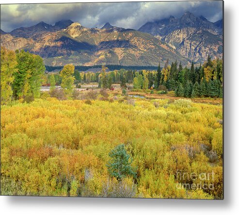 Dave Welling Metal Print featuring the photograph Clearing Storm Blacktail Ponds Grand Tetons National Park by Dave Welling