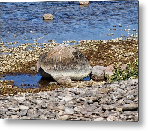 Rocky Metal Print featuring the photograph Close-up from an rocky beach by Eva-Maria Di Bella