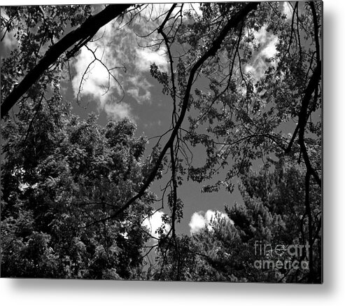 Nature Metal Print featuring the photograph Clouds and Trees Black and White - Frank J Casella by Frank J Casella