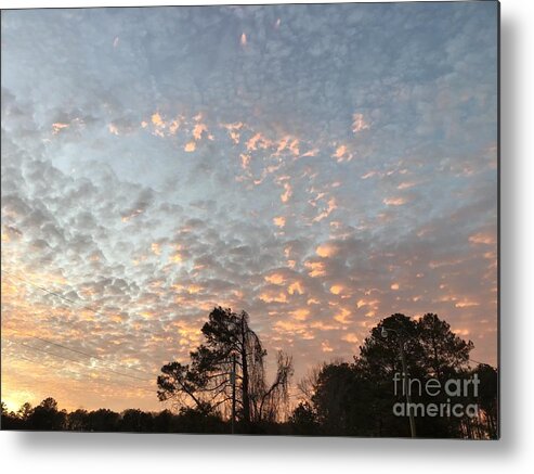 Courtland Metal Print featuring the photograph Color Me Pink Sunset by Catherine Wilson