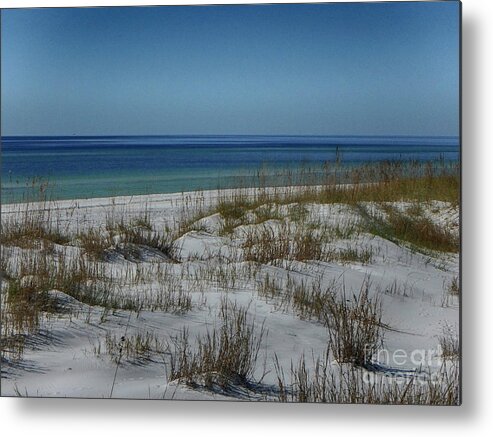 Gulf Metal Print featuring the photograph Colors of Paradise by Judy Hall-Folde