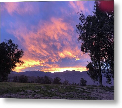 Landscape Metal Print featuring the photograph Cotton Candy Sky by Leslie Porter
