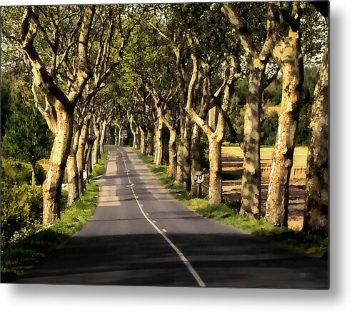 Country Road In Southern France Metal Print featuring the photograph Country Road in Southern France - Bram D4 by Menega Sabidussi