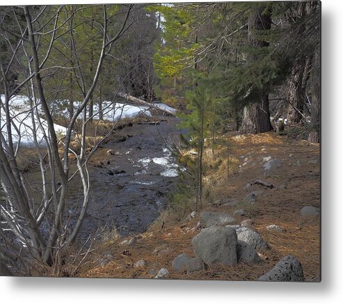 Landscape Metal Print featuring the photograph Creek Flowing by Richard Thomas
