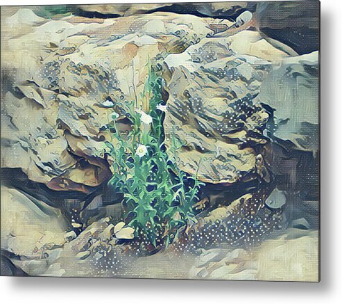 Daisies Metal Print featuring the mixed media Daisies in the Boulders by Christopher Reed