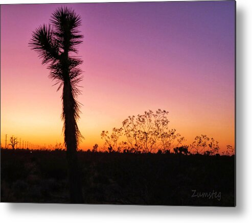 Desert Metal Print featuring the photograph Desert Sunset by David Zumsteg