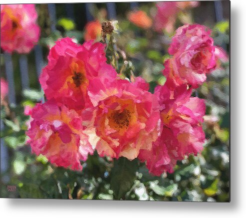 Roses Metal Print featuring the photograph Disney Roses Two by Brian Watt
