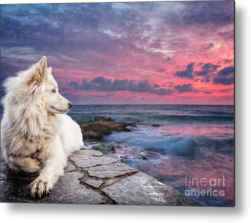 Texture Metal Print featuring the digital art Dog At Sunset by Phil Perkins