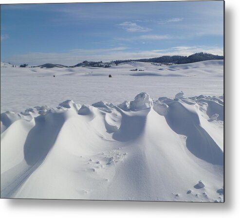 Snow Metal Print featuring the photograph Drifts by Jean Evans