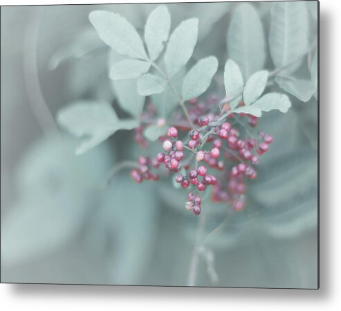 Nature Art Metal Print featuring the photograph Easy Berries by Gian Smith