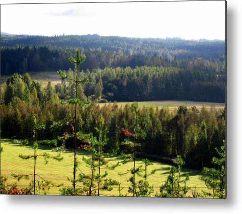 Evening Metal Print featuring the photograph Evening view by Pauli Hyvonen