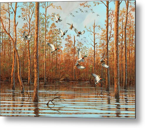 Mallards Metal Print featuring the painting Fall Follies by Guy Crittenden