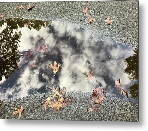  Metal Print featuring the photograph Fall Water Puddle, NYC by Judy Frisk