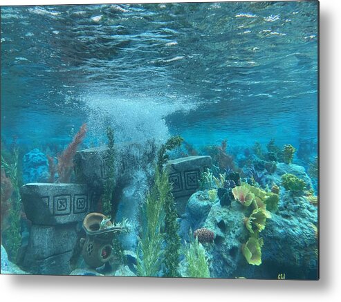 Photograph Water Underwater Submarine Metal Print featuring the photograph Finding Nemo Submarine Voyage by Beverly Read