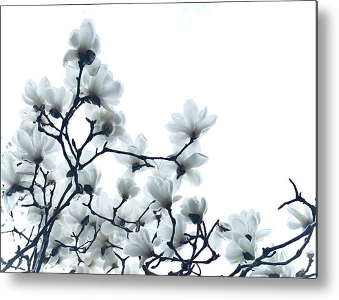 Flowers Metal Print featuring the photograph Flower Fantasy by Eena Bo