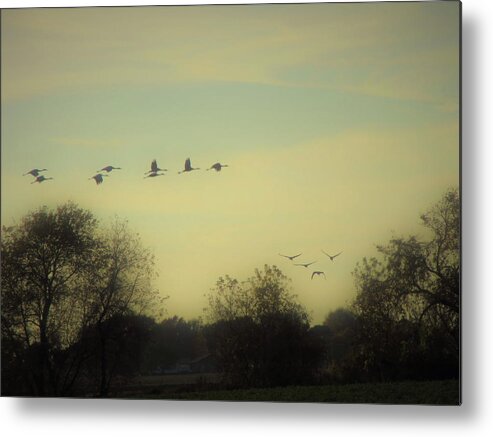 Nature Metal Print featuring the photograph Fly Away At Dusk by Mary Wolf