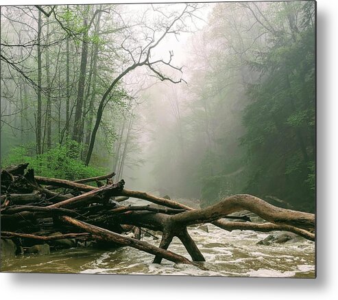 River Metal Print featuring the photograph Foggy River by Brad Nellis