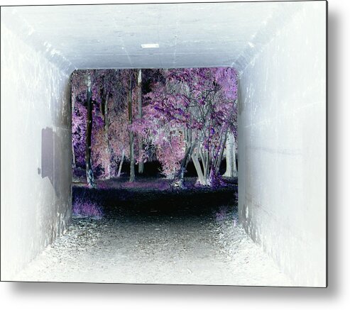 Tunnel Metal Print featuring the photograph Follow Me 7 by Megan Ford-Miller