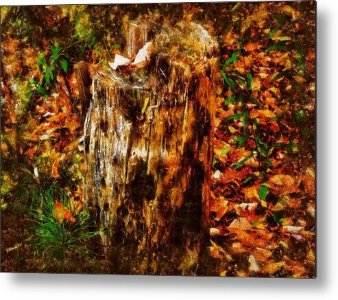 Stump Metal Print featuring the mixed media Forest Floor in Autumn by Christopher Reed
