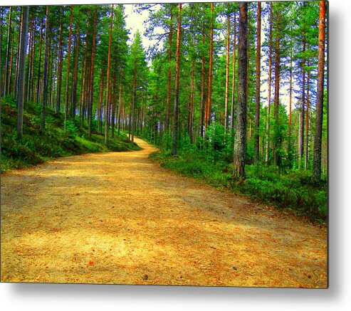 Forest Metal Print featuring the photograph Forest trail by Pauli Hyvonen