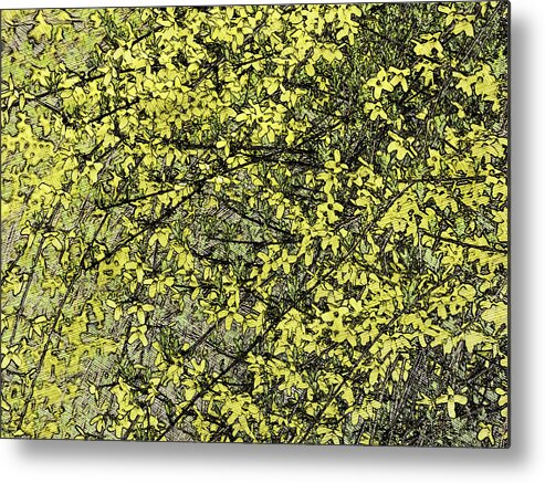 Spring Metal Print featuring the photograph Forsythia - Waiting On Spring by Leslie Montgomery