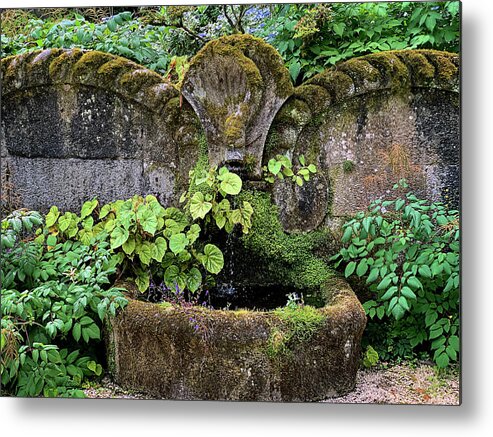 Fountain Metal Print featuring the photograph Fountain of Youth by Jill Love