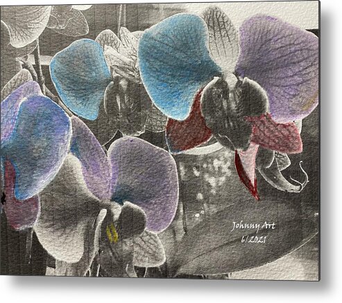 Color Enhanced Orchids St Augustine Florida Usa Metal Print featuring the mixed media Fun Stuff 2 by John Anderson
