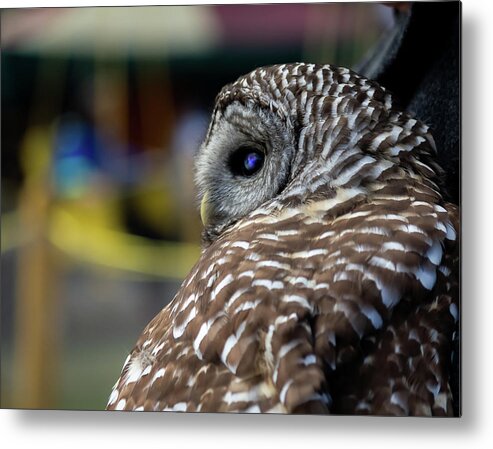 Wildlife Metal Print featuring the photograph Galaxy Eyes by Mireyah Wolfe