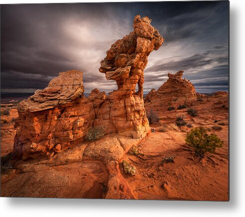 Cottonwood Cove Metal Print featuring the photograph Gargoyle by Peter Boehringer