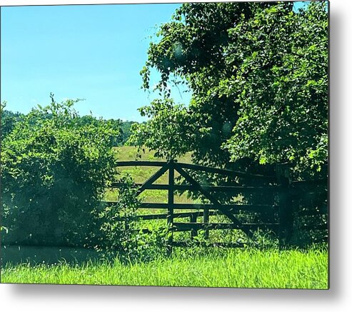  Metal Print featuring the painting Gate by Anitra Boyt