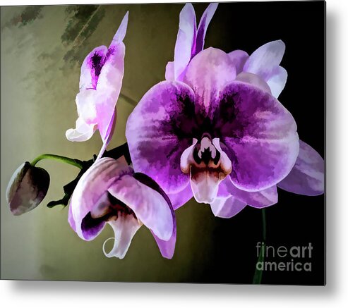 Orchid Metal Print featuring the photograph Ghostly Natural Orchid by Diana Mary Sharpton