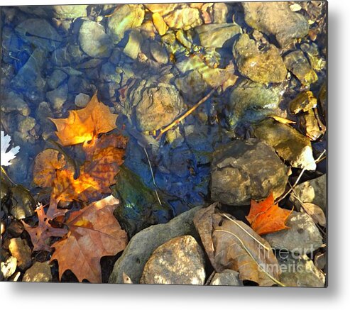 Rocks Metal Print featuring the photograph Glenns Creek 1 by David Neace CPX