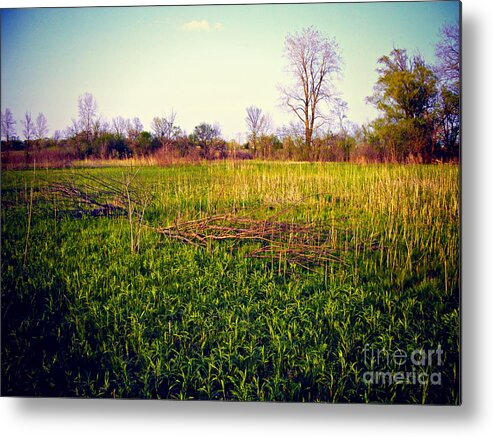 Nature Metal Print featuring the photograph Golden Hour Sunset On The Prairie - Lomo by Frank J Casella