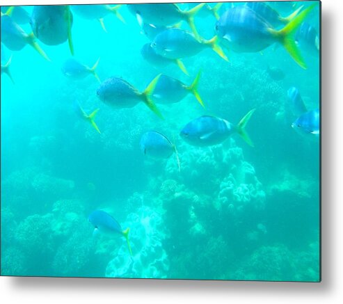 Underwater Photography Metal Print featuring the photograph Green Island Reef by Diane Sleger
