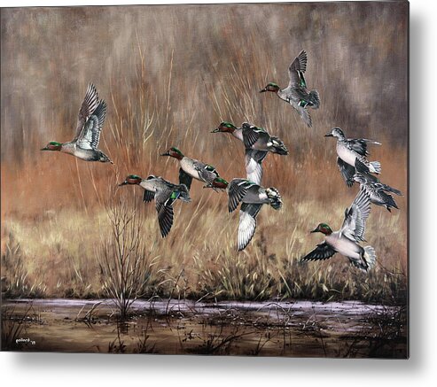 Duck Metal Print featuring the painting Green-Winged Getaway by Glenn Pollard